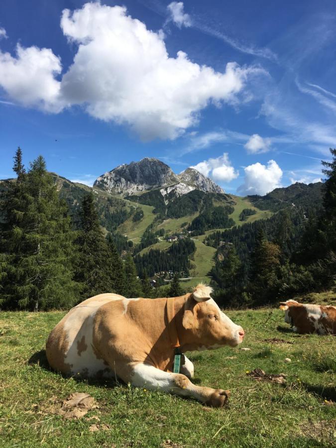 Landhaus Kloosterstube Lägenhet Hermagor-Pressegger See Exteriör bild