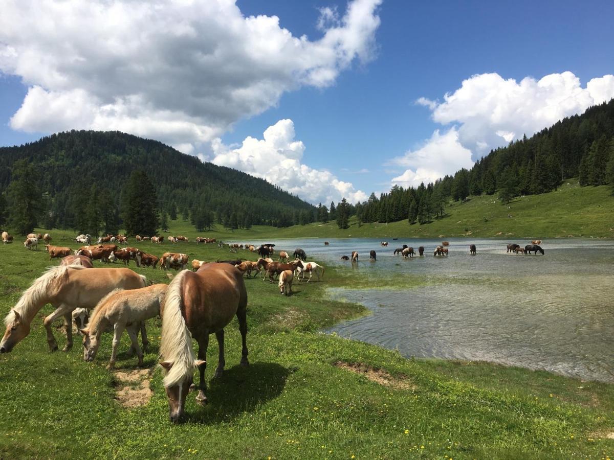 Landhaus Kloosterstube Lägenhet Hermagor-Pressegger See Exteriör bild